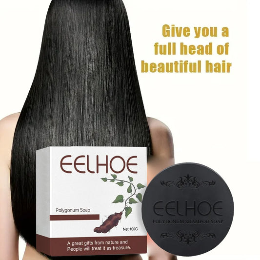 Savon Shampooing Polygonum EELHOE – Anti-Chute, Réparation & Brillance