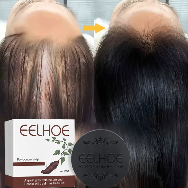 Savon Shampooing Polygonum EELHOE – Anti-Chute, Réparation & Brillance