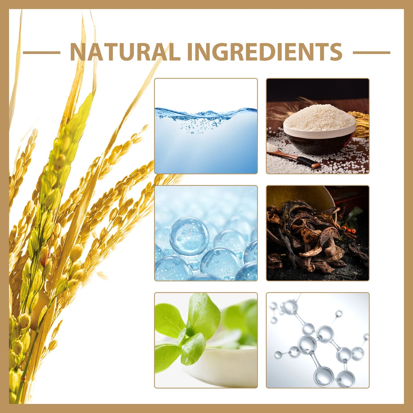 Lotion de Riz Hydratant et Raffermissant pour la Peau