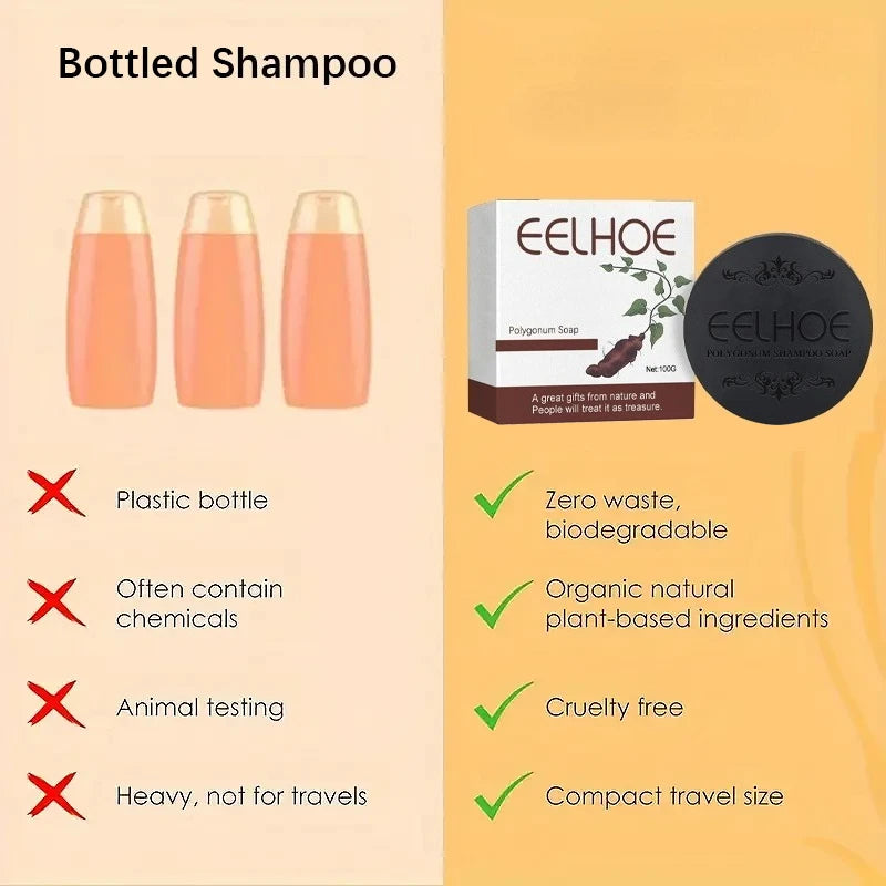 Savon Shampooing Polygonum EELHOE – Anti-Chute, Réparation & Brillance
