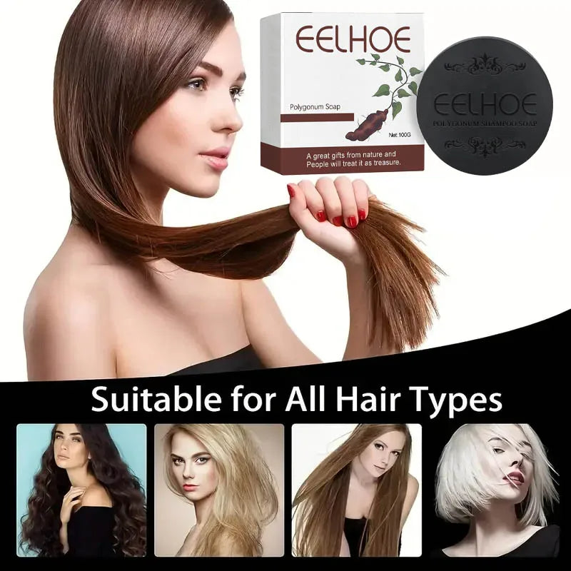 Savon Shampooing Polygonum EELHOE – Anti-Chute, Réparation & Brillance