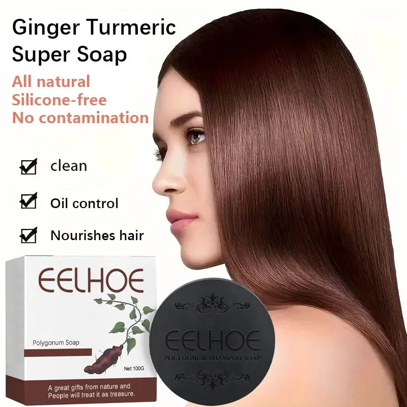 Savon Shampooing Polygonum EELHOE – Anti-Chute, Réparation & Brillance