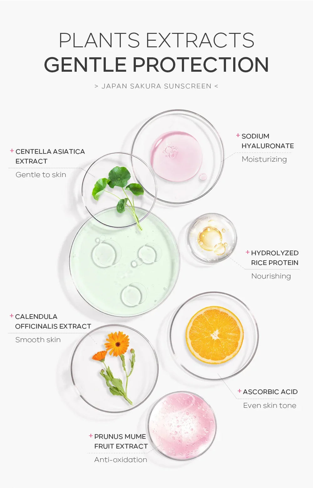 crème coréenne protecteur solaire